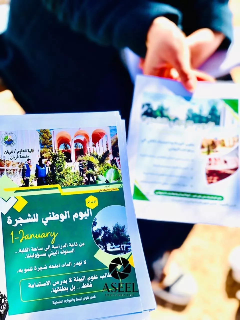 استمرار إحياء اليوم الوطني للشجرة