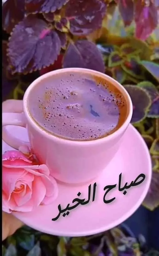 مريم هويدي