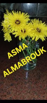 Asmaa Alsaedi