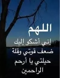 فاطمة بحير