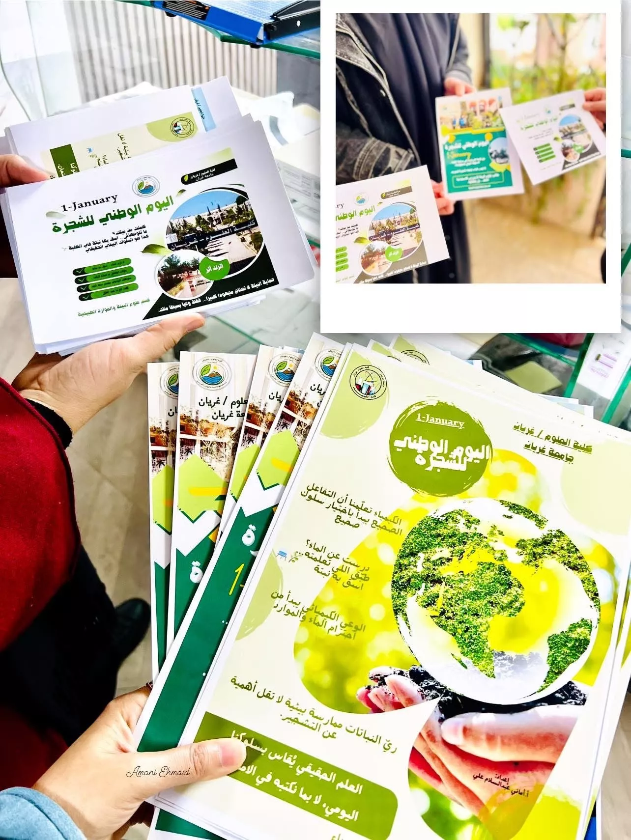 اليوم الوطني للشجرة