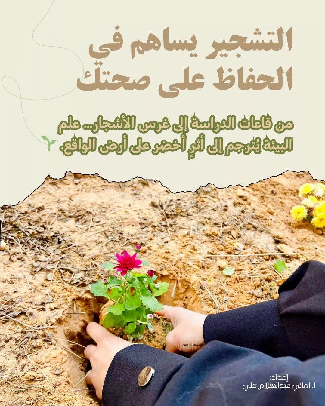 إعلان مشاركة في إحياء اليوم الوطني للشجرة